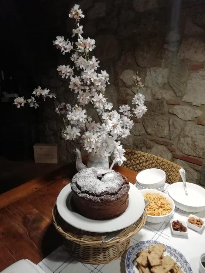 Poesia 74 Bed & Breakfast Rosignano Marittimo Exterior foto